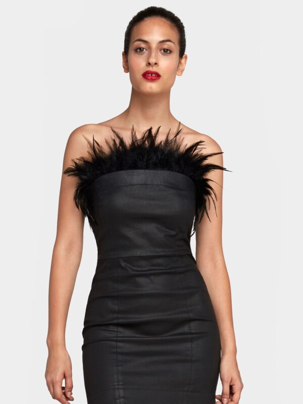 Labby Alas Plumas Negras